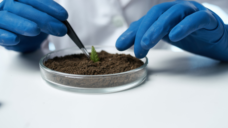 Agronomy Laboratory